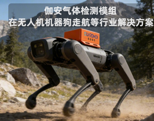 伽安走航设备解决方案
