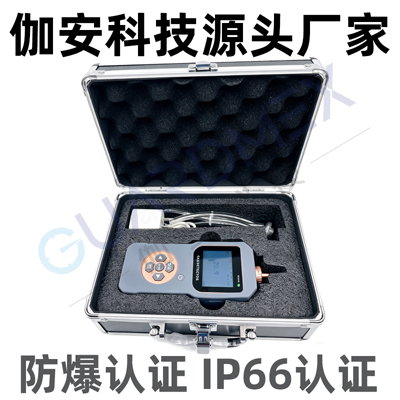 便携式氟化氢（HF）检测仪