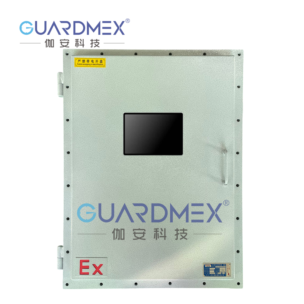 伽安科技GMSYS-O2在线氢中氧分析仪