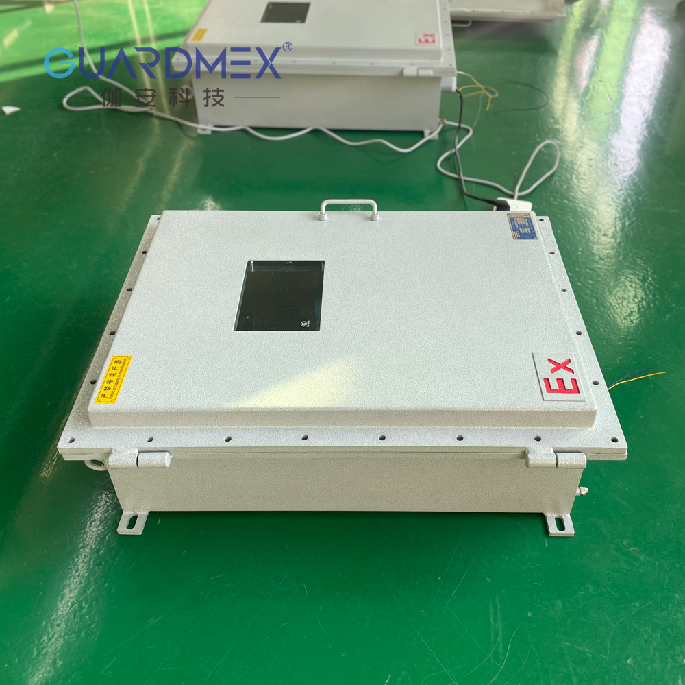 伽安科技GMSYS-O2在线氢中氧分析仪